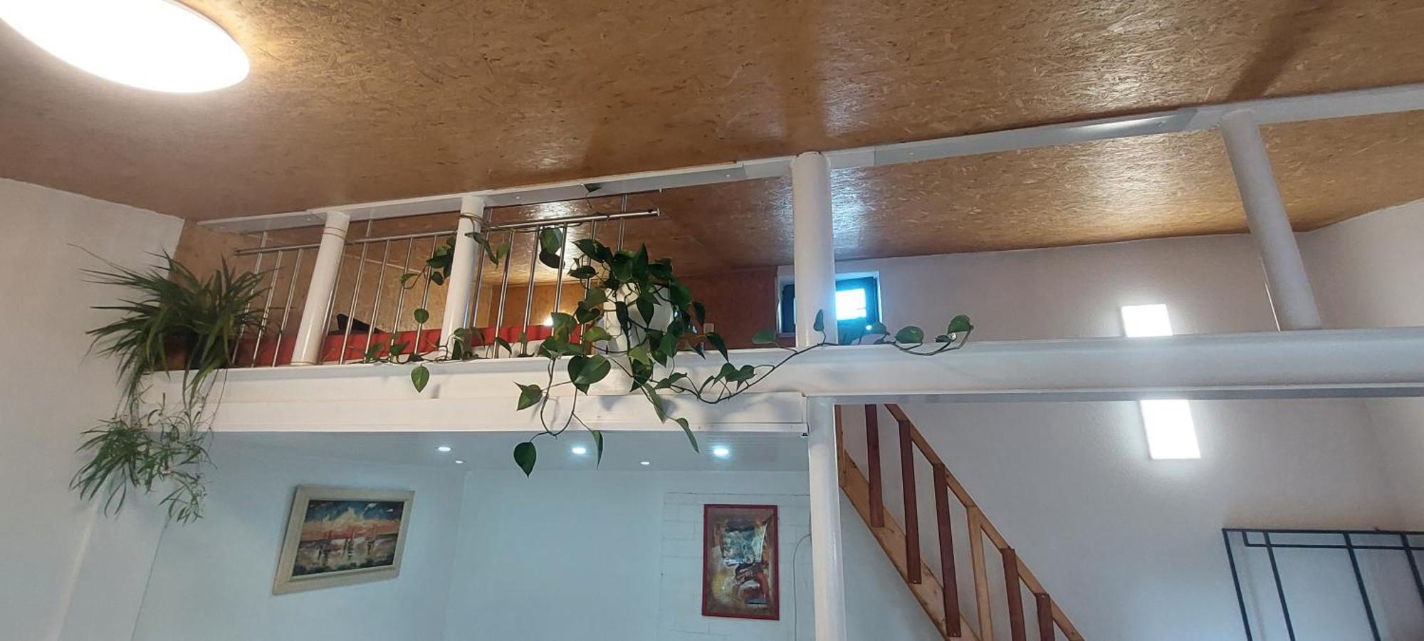 Ferienwohnungen! Kleine Bungalows Mit Terrasse! Stockhausen-Illfurth Cameră foto
